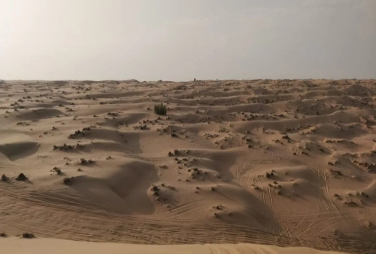 Wahiba Sands