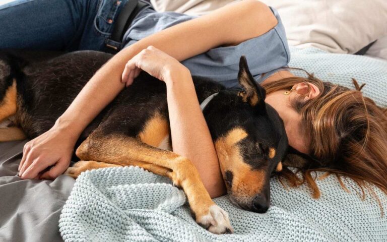 Cani sul letto - LeBisbetiche.com
