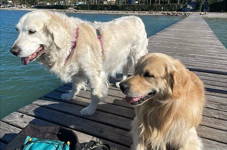 Mia e Pepper al Lago di Garda - LeBisbetiche.com