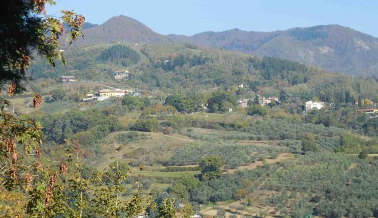 Scarperia e San Piero - LeBisbetiche.com (Credits Wikimedia Commons)