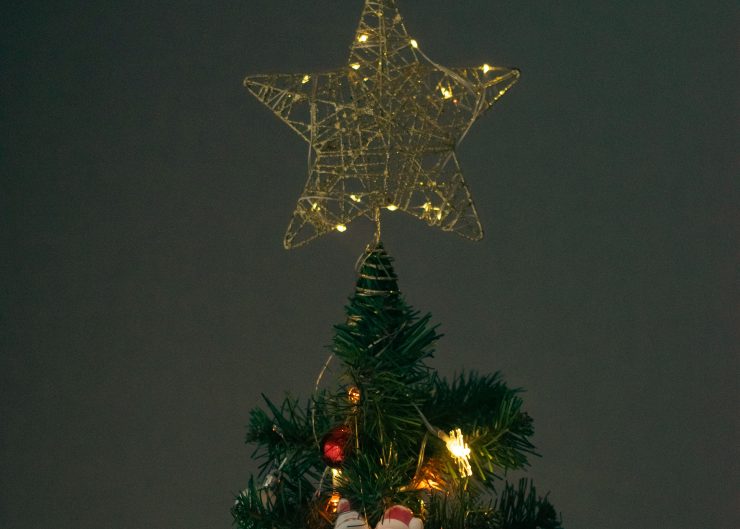 Stella di Natale - LeBisbetiche.com (Credits Pexels)
