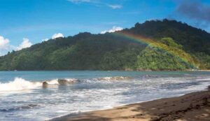 Trinidad e Tobago - LeBisbetiche.com (Fonte Pexels)
